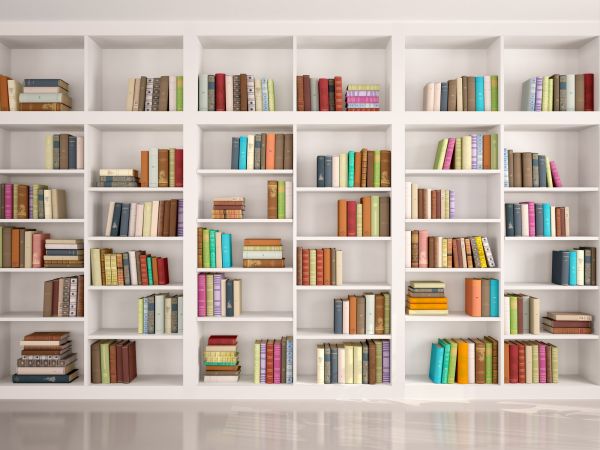 Bookshelf Assembly in Arlington